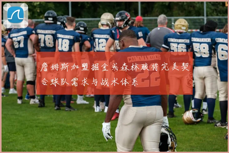 詹姆斯加盟掘金或森林狼将完美契合球队需求与战术体系