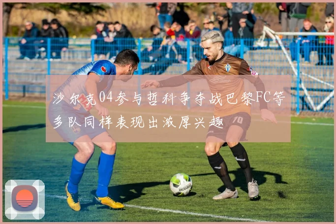 沙尔克04参与哲科争夺战巴黎FC等多队同样表现出浓厚兴趣